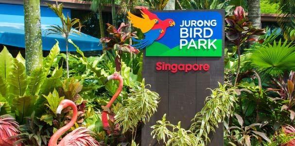 JURONG BIRD PARK JURONG BIRD PARK Έναρξη: 14:00-15:00 Διάρκεια: 3 ώρες Περάστε μοναδικές στιγμές στο Jurong Bird πάρκο και ζήστε την πλήρη ζωντάνια των ήχων και των χρωμάτων της φύσης.
