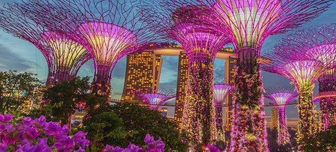 SINGAPORE GARDENS BY THE BAY TOUR Έναρξη: 08:30 Διάρκεια: 7 ώρες ΚΗΠΟΙ ΤΗΣ ΣΙΓΚΑΠΟΥ- ΡΗΣ Ελάτε να ανακαλύψετε το νέο βοτανικό θαύμα της Σιγκαπούρης, τους Κήπους του κόλπου, έναν παράξενο κήπο με