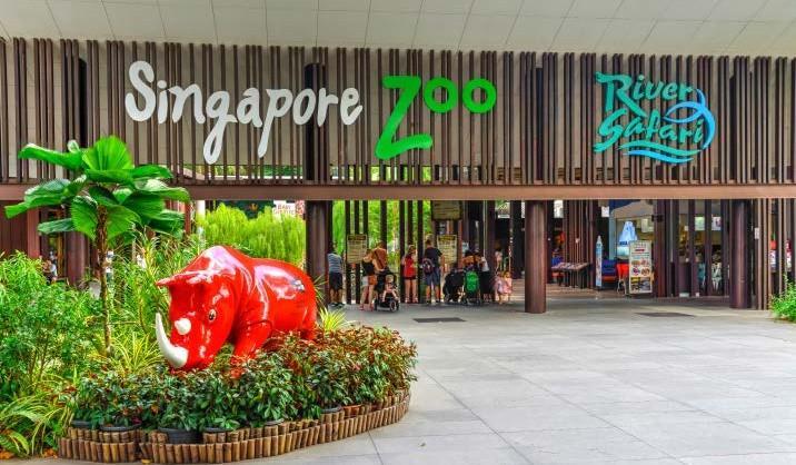 COMBO: ZOO AND RIVER SAFARI Έναρξη: 09:00 Διάρκεια: 8,5 ώρες ZΩΟΛΟΓΙΚΟΣ ΚΗΠΟΣ & ΠΟΤΑΜΟΣ ΣΑΦΑΡΙ Μια ολόκληρη μέρα απόλαυσης σε δύο από τα φυσικά αξιοθέατα της Σιγκαπούρης: Zoo Singapore και Safari