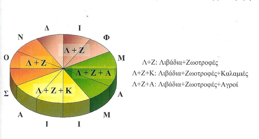 Ετήσιο πρόγραμμα διατροφής ζώων