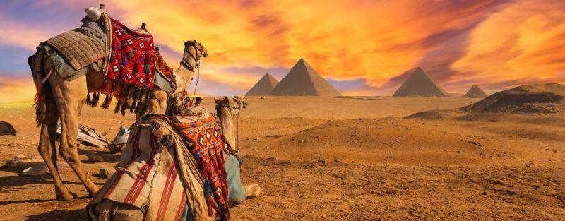ΑΙΓΥΠΤΟΣ: Το Δώρο του Νείλου Αλεξάνδρεια - Κάιρο - 4 ήμερη Κρουαζιέρα Νείλου 25 Οκτωβρίου - 2 Νοεμβρίου 2019 (9 Ημέρες) Βιβλιοθήκη Αλεξανδρείας - Πυραμίδες Γκίζας - Αρχαιολογικό Μουσείο Καΐρου -