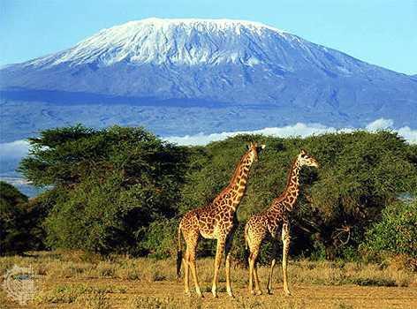 Η Τανζανία αποτελείται από ένα ηπειρωτικό τμήμα, το πρώην βρετανικό έδαφος της Τανγκανίκας, και από ένα νησιωτικό τμήμα, πρώην βρετανικό προτεκτοράτο, που