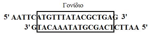 Δ. τα τζςςερα χρωμοςϊματα κατανζμονται τα 5.000 γονίδια Ε. Ο οργανιςμόσ ζχει 5.000 αλλθλόμορφα γονίδια Σ. Ο οργανιςμόσ ζχει 5.000 ηεφγθ αλλθλομόρφων γονιδίων Η. Ο οργανιςμόσ ζχει 2.
