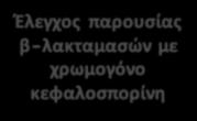 Παρουσία μηχανισμού αντοχής λόγω Β-λακταμασών και/ή