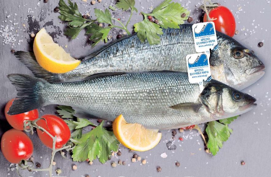 Branding Το branding στην κατηγορία των ψαριών έχει πολλές ιδιαιτερότητες λόγω της φύσης του είδους (commodity), όπου η τιμή αποτελεί καθοριστικό παράγοντα για την αγοραστική απόφαση τόσο των