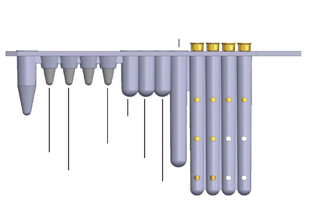 Αφαιρέστε το καπάκι από το σωληνάριο BD MAX MDR-TB Sample Tube και κρατήστε το σκληρό καπάκι εάν πρόκειται να αποθηκεύσετε το δείγμα. 9.