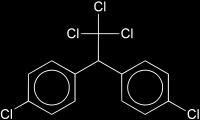 (DEHP) DDT Triclosan H 3 C CH 3