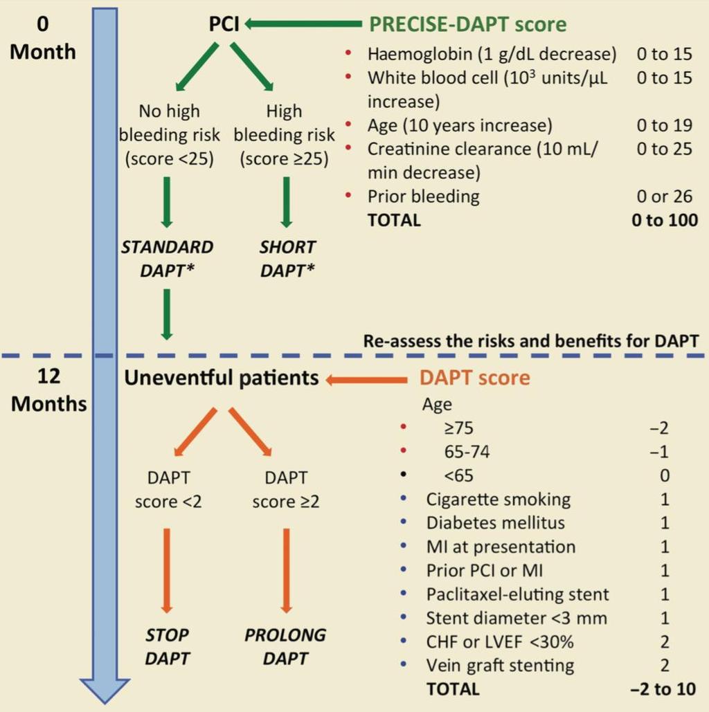 Scoring systems State of the art: duration of dual antiplatelet therapy after percutaneous coronary intervention and coronary stent