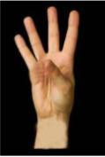 Το ένα χέρι δείχνει πέντε δάκτυλα και το άλλο