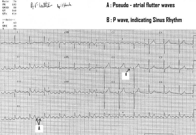 European Journal of Internal