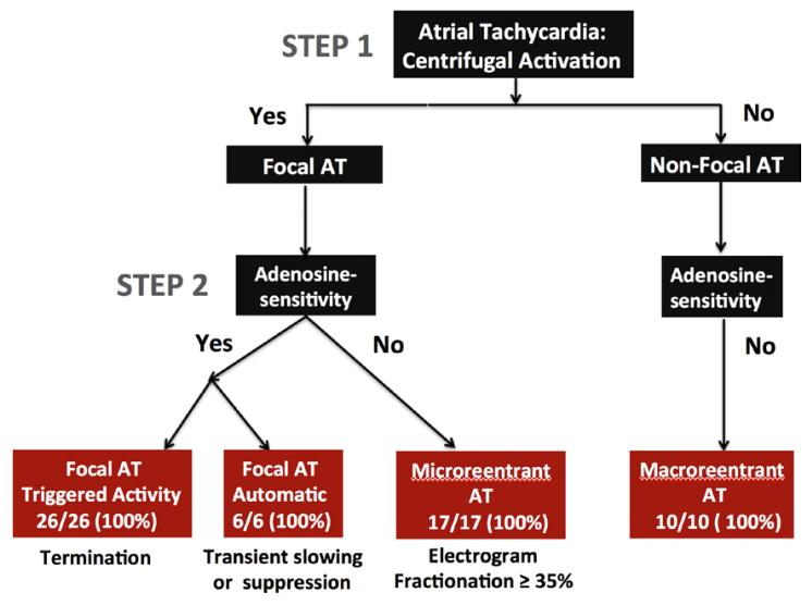 Unifying Algorithm for Mechanistic Diagnosis of Atrial