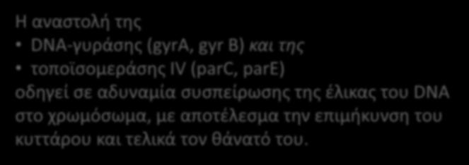 έλικας του DNA στο χρωμόσωμα, με