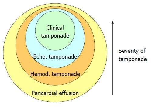 Santeda J. et al.