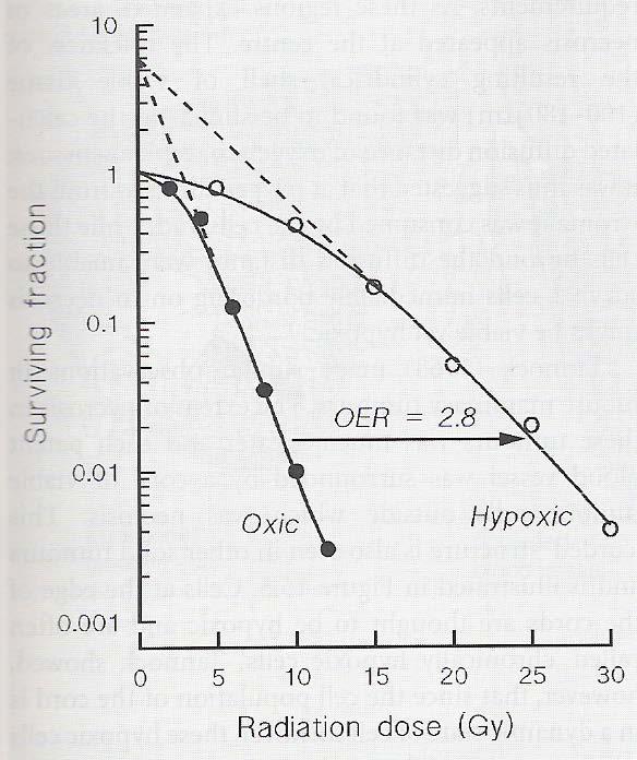 Conditional Factors-Oxygen Ως λόγος επαυξήσεως οξυγόνου ορίζεται ο λόγος της δόσης που απαιτείται για κάποιο βιολογικό αποτέλεσμα, υπό υποξικές συνθήκες,