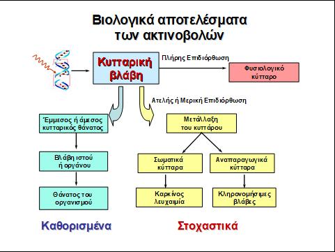 Kατηγοριοποίηση