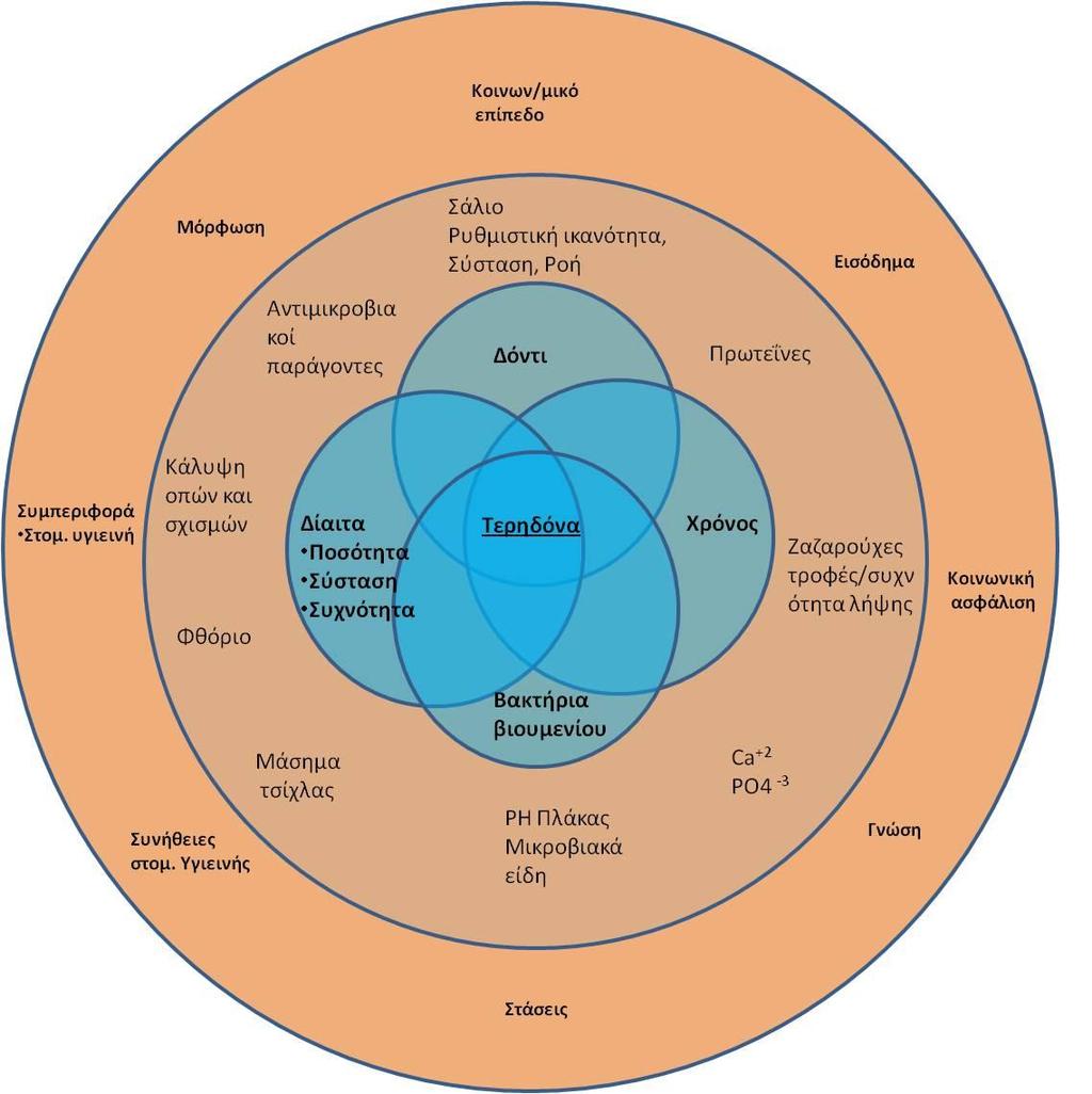Εικ.20: Παράγοντες τερηδόνας: Ατομικοί (πορτοκαλί κύκλος), Περιβαλλοντικοί (ροζμεσαίος κύκλος), άμεσα συσχετιζόμενοι (μπλε) (Μετασχεδίαση από Selwitz 2007) Άλλοι παράγοντες που σχετίζονται με τον