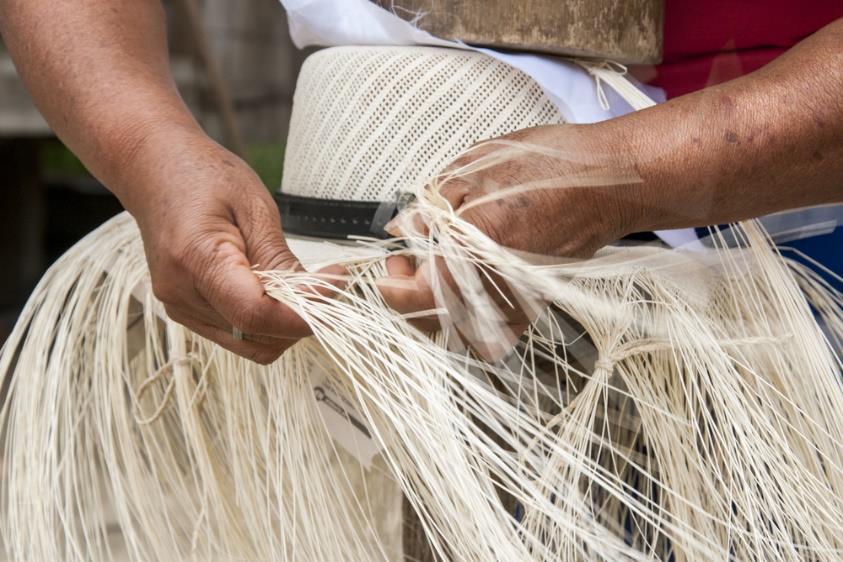 Οι ντόπιοι από το Εκουαδόρ ύφαιναν τα καπέλα με το άχυρο Paja Toquila, χρησιμοποιώντας τις ίνες από τα φύλλα φοινικόδεντρων.