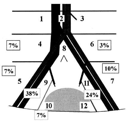 1 LN+: 28% Μονήρης + LN