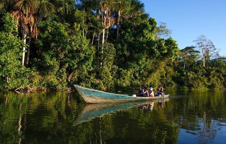 13η Ημέρα: Πούερτο Μαλδονάδο (Ζούγκλα Αμαζονίου) Πρωινή έγερση, ύστερα από έναν γλυκύτατο ύπνο μέσα στη φύση και εξόρμηση στη ζούγκλα για να απολαύσουμε τα αμέτρητα είδη αιωνόβιων δένδρων, τα