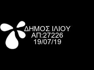 ΕΛΛΗΝΙΚΗ ΔΗΜΟΚΡΑΤΙΑ ΝΟΜΟΣ ΑΤΤΙΚΗΣ 28 η Τακτική Συνεδρίαση Οικονομικής Επιτροπής ΔΗΜΟΣ Ι Λ Ι Ο Υ την 16.07.