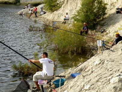 Δραστηριότητα 1 α) Σημείωσε τρία είδη πανίδας που συναντούμε στην περιοχή του φράγματος Ταμασού:,,.