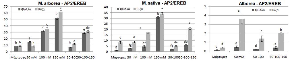 Α Β Γ Εικόνα 2. Μέση έκφραση γονιδίου ΑΡ2/EREB στη Α. M. arborea Β. M. sativa και Γ. Alborea στους έξι διαφορετικούς χειρισμούς αλατότητας. Οι συγκρίσεις μεταξύ γονοτύπων διαφέρουν σημαντικά σε Ρ<0.