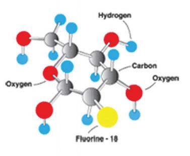 F-φθόριο δεσόξυ γλυκόζη ( F-FDG) Μόριο F-Fluorodeoxyglucose (FDG) Το πιο ευρέως χρησιμοποιούμενο PET ραδιοφάρμακο στην Ογκολογία Υψηλή Ευασθησία Μη ειδικό