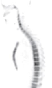 S. et. al.