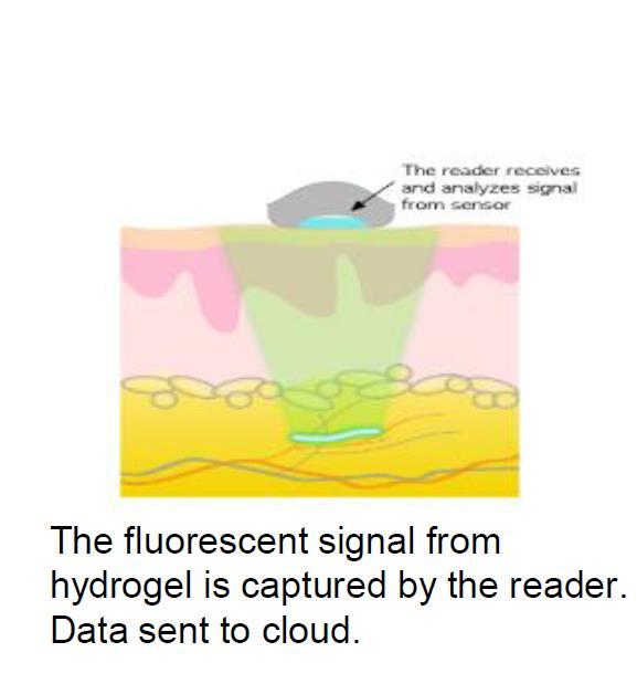 lifetime decay and is directly correlated to the oxygen