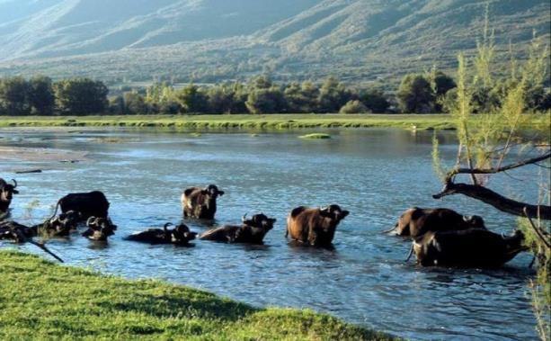 Είναι ζωντανή και πάντα αλλάζει, διαφορετική το χειμώνα και διαφορετική το καλοκαίρι.