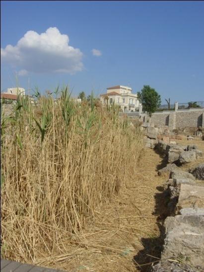 Τ Η Σ _ Ο αουαιξλξγικόπ υώοξπ ςξσ Κεοαμεικξύ