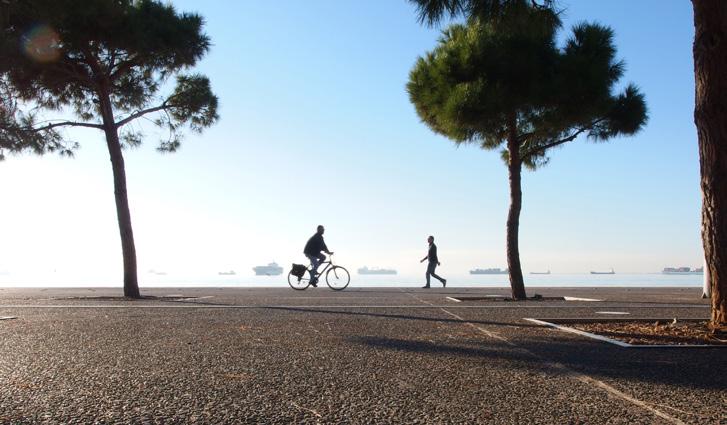 Αντιστοιχούν 2,73 τ.μ. πρασίνου ανά κάτοικο 