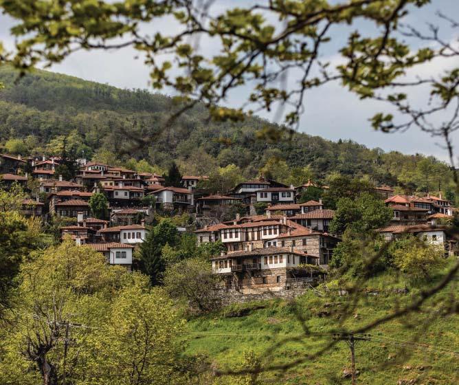 Αναχώρηση για το εντυπωσιακό Μουσείο της Βεργίνας, χτισμένο εκεί ακριβώς που βρίσκονται οι βασιλικοί τάφοι, δηλαδή κάτω από τον μεγάλο τύμβο (έξοδα ατομικά).