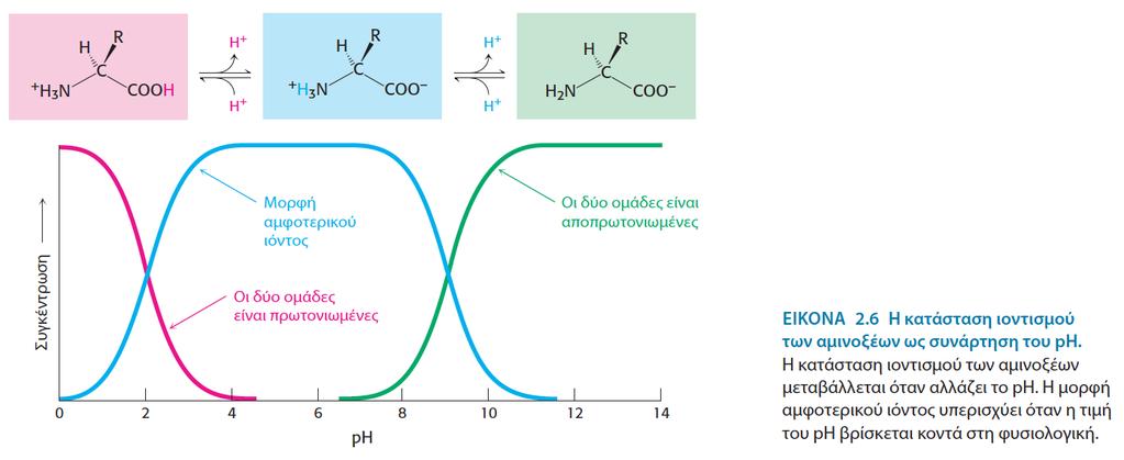 Διαφέρουν χημικά αλλά έχουν κοινές ιδιότητες Οπτική ενεργότητα (εκτός γλυκίνης) Επαμφοτερίζοντα χαρακτήρα Σχηματίζουν κατιόντα σε όξινο ph, και ανιόντα σε βασικό ph Καθώς αυξάνεται το ph, η πρώτη