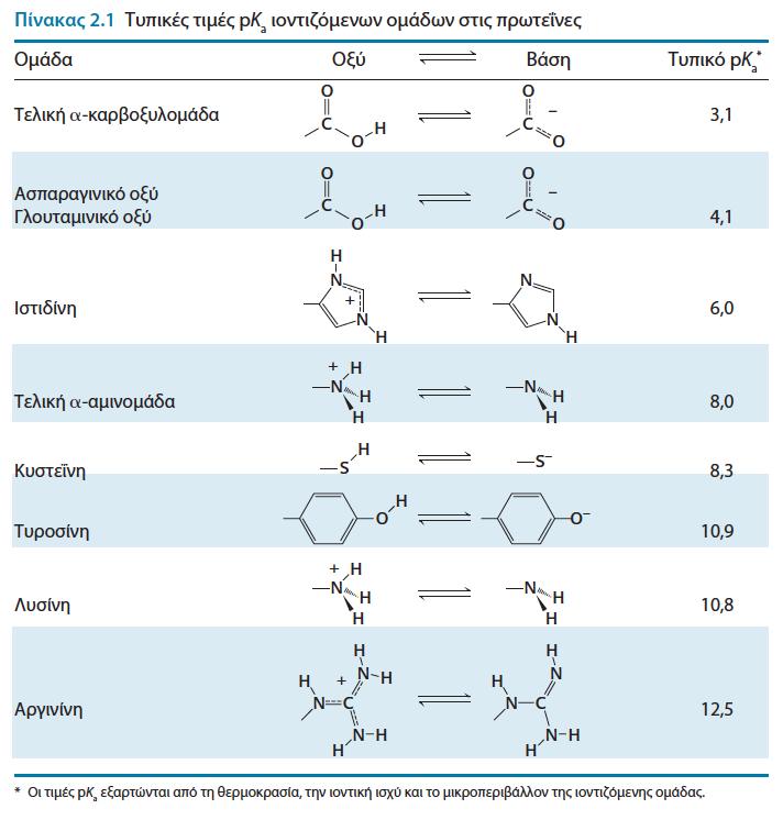 Επτά από τα 20 αμινοξέα έχουν πλευρικές αλυσίδες που ιοντίζονται εύκολα.