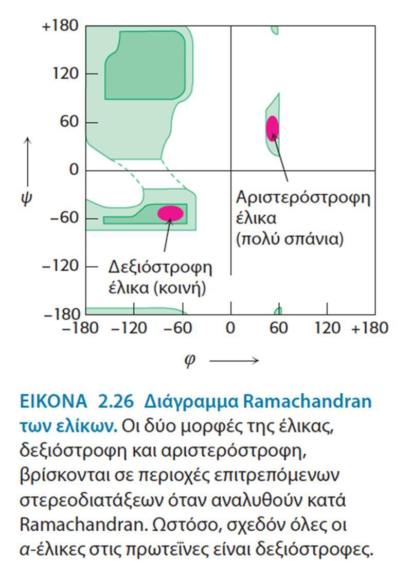 Βήμα α-έλικας: το μήκος κατ άξονα μιας πλήρους στροφής επάνω στην έλικα, ισούται με το γινόμενο της μετατόπισης 1,5 Å (απόσταση μεταξύ δύο καταλοίπων) επί τον αριθμό των καταλοίπων ανά στροφή (3,6),