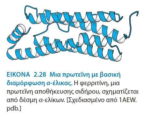 Παράδειγμα α-έλικας Το ποσοστό της α-έλικας των πρωτεϊνών ποικίλλει από 0% έως και 100% ανά περίπτωση.