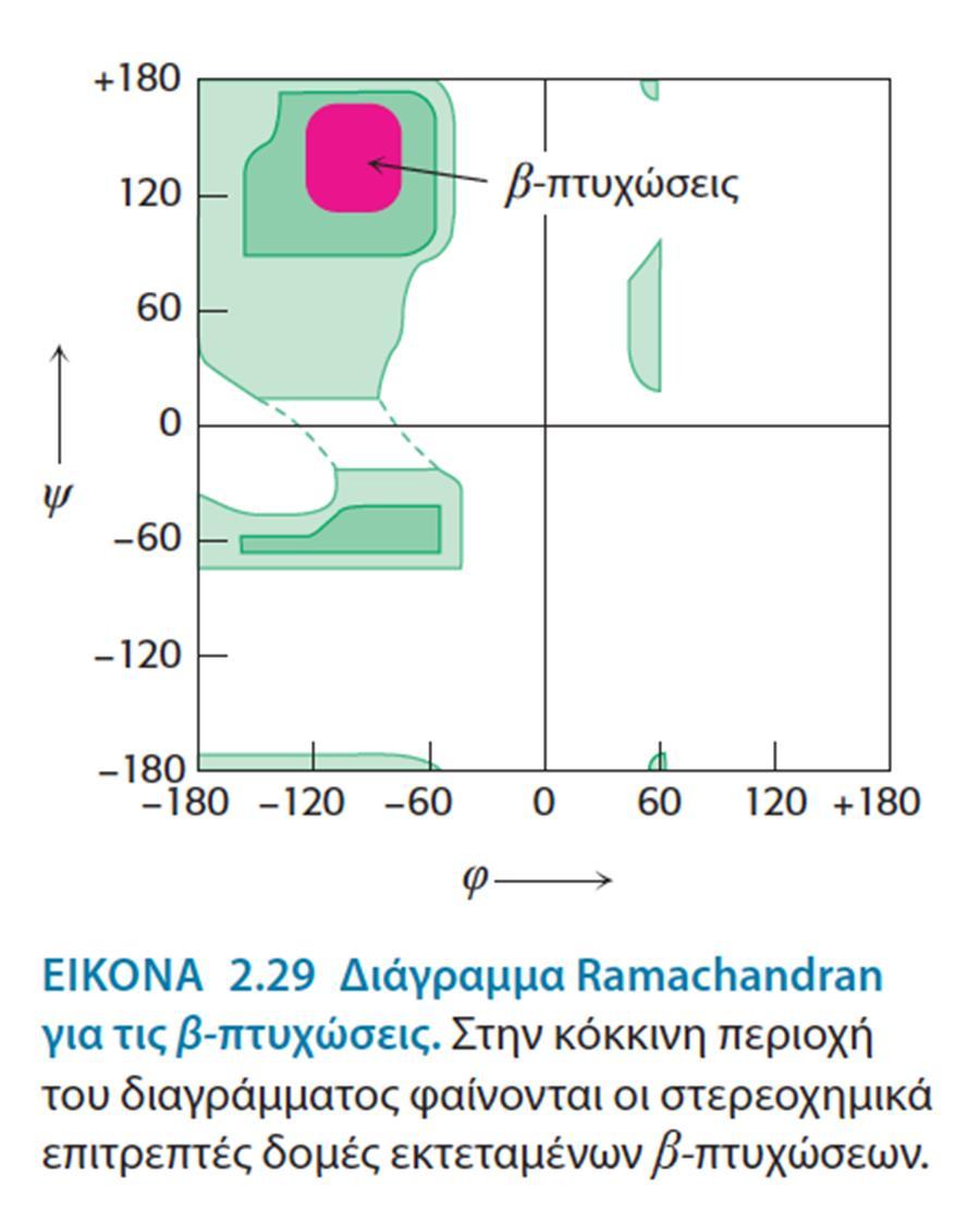 Δευτεροταγής δομή: με β-πτυχωτές επιφάνειες β-πτυχωτή επιφάνεια: β, διότι ήταν η δεύτερη δομή που προσδιόρισαν (πρώτη ήταν η α-έλικα).