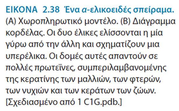 Η α-κερατίνη είναι μέλος μιας υπεροικογένειας πρωτεϊνών οι οποίες ονομάζονται πρωτεΐνες ελικοειδούς σπειράματος.