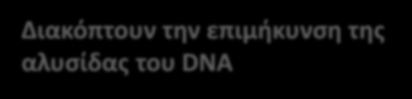 πολυμεράση): μπορεί να προσδώσουν αντοχή σε