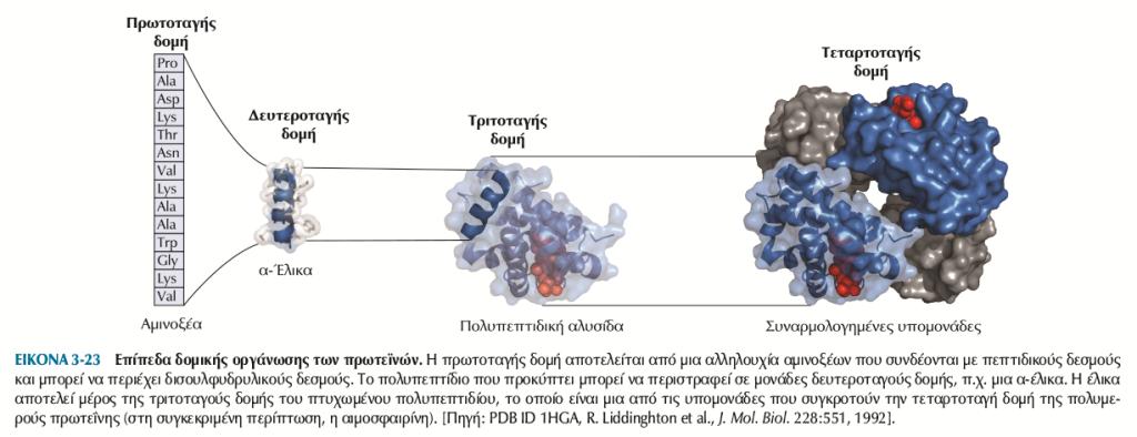 EΠΙΠΕΔΑ ΔΟΜΙΚΗΣ