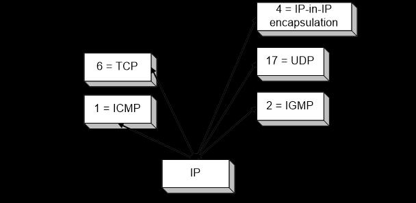 3-2. Φόρμα πακέτου IP Protocol (1 byte): Καθορίζει το higher-layer protocol.