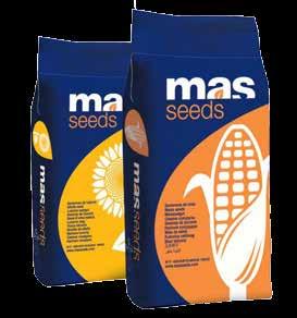 000 σπόρων MAS 68K AGROSTART FAO 600 σακί 50.