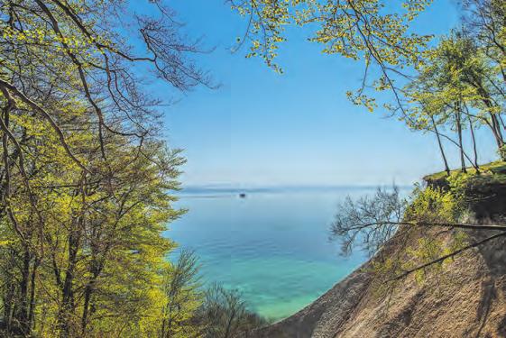 net RÜGEN Göhren/Rügen FeWo ab 35-60 2-4P. DZ ab 25 ruh. Lg. Hunde a. Anfrage 038308-2338 freie Term. www.goehrenferien.de USEDOM Fewos und Haus mit Wiesenblick im Seebad Trassenheide b.4 P.