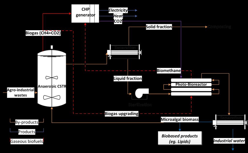 NH 3 -N (mgl -1 ) DW (gl -1 ) IC (mgl -1 ) COD (mgl -1 ) Επεξεργασία αποβλήτων Χωνευμένα υπολείμματα 1200 10% (v/v) αναερόβια απορροή αγροτο-κτηνοτροφικών αποβλήτων 1000 800 600 400 200 P.k. A.o. C.v. T.