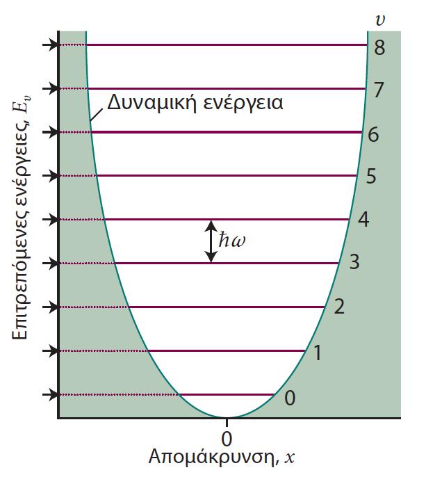 Ενεργειακά Επίπεδα Τα ενεργειακά επίπεδα ενός αρμονικού ταλαντωτή ισαπέχουν με απόσταση ħω Η ελάχιστη επιτρεπτή ενέργεια λαμβάνεται για υ=0, και αντιστοιχεί στην ενέργεια μηδενικού σημείου για