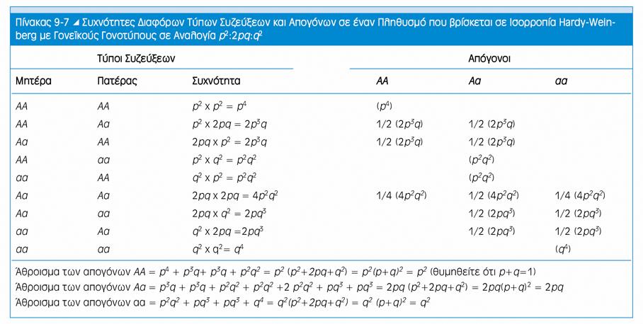 Εξίσωση ή Νόμος Hardy-Weinberg Οι συχνότητες των γονοτύπων