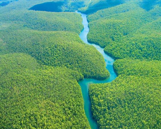 Αμαζόνιος Ο Αμαζόνιος υδροδοτεί το απέραντο τροπικό δάσος της νοτιοαμερικανικής ηπείρου, μεταφέροντας συνολικά το ένα πέμπτο (1/5) του γλυκού νερού που κυκλοφορεί πάνω στη Γη.