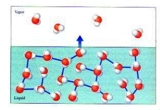 (β) Δεσμός Υδρογόνου Όταν τα μόρια νερού αφήνουν την υγρή φάση για να περάσουν στην αέρια, απορροφούν ενέργεια για να υπερνικήσουν τους