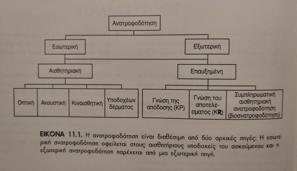 Και τα δυο είδη ανατροφοδότησης διακρίνονται σε αρχική ή προκαταβολική, τρέχουσα και τελική.